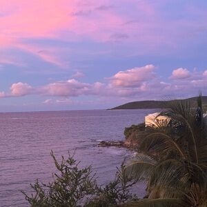 Meet your Posher, Maddie